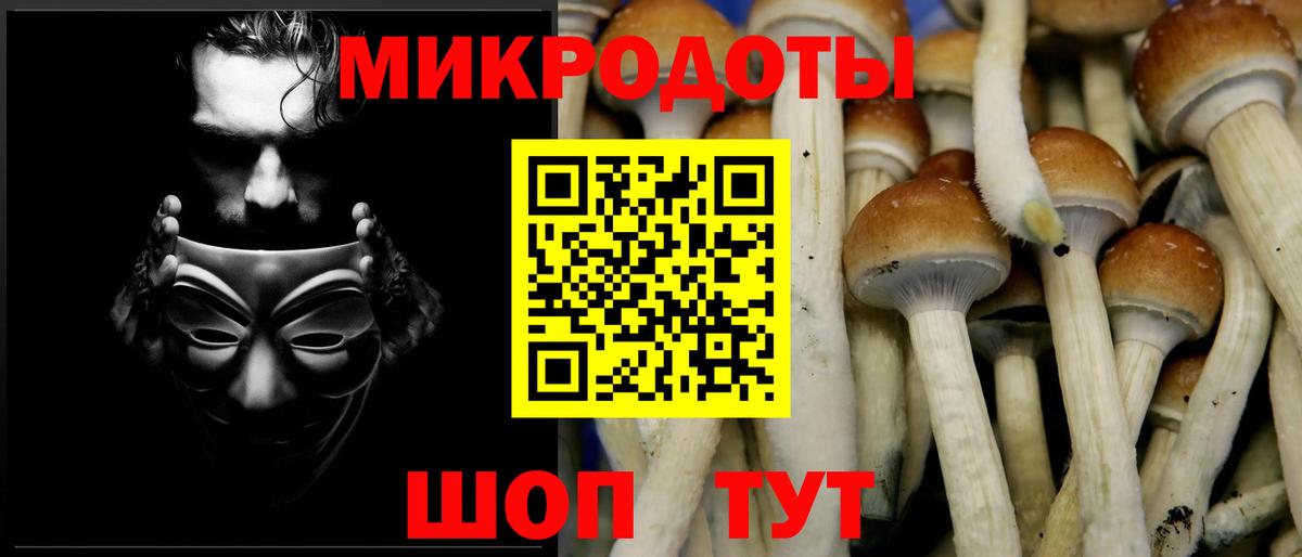 Нарткала  Псилоцибиновые грибы Magic Shrooms  Вход с VPN 