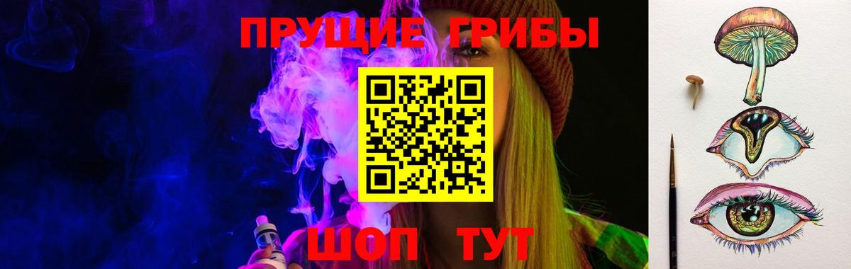 Псилоцибиновые грибы GOLDEN TEACHER Нарткала